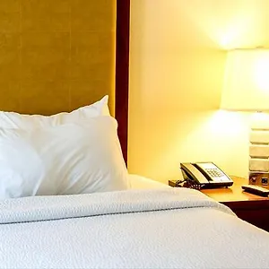 https://sara-viareggio.it-tuscanyhotel.com